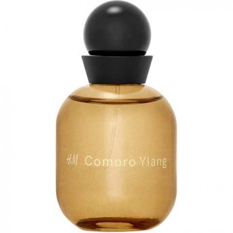 Comoro Ylang